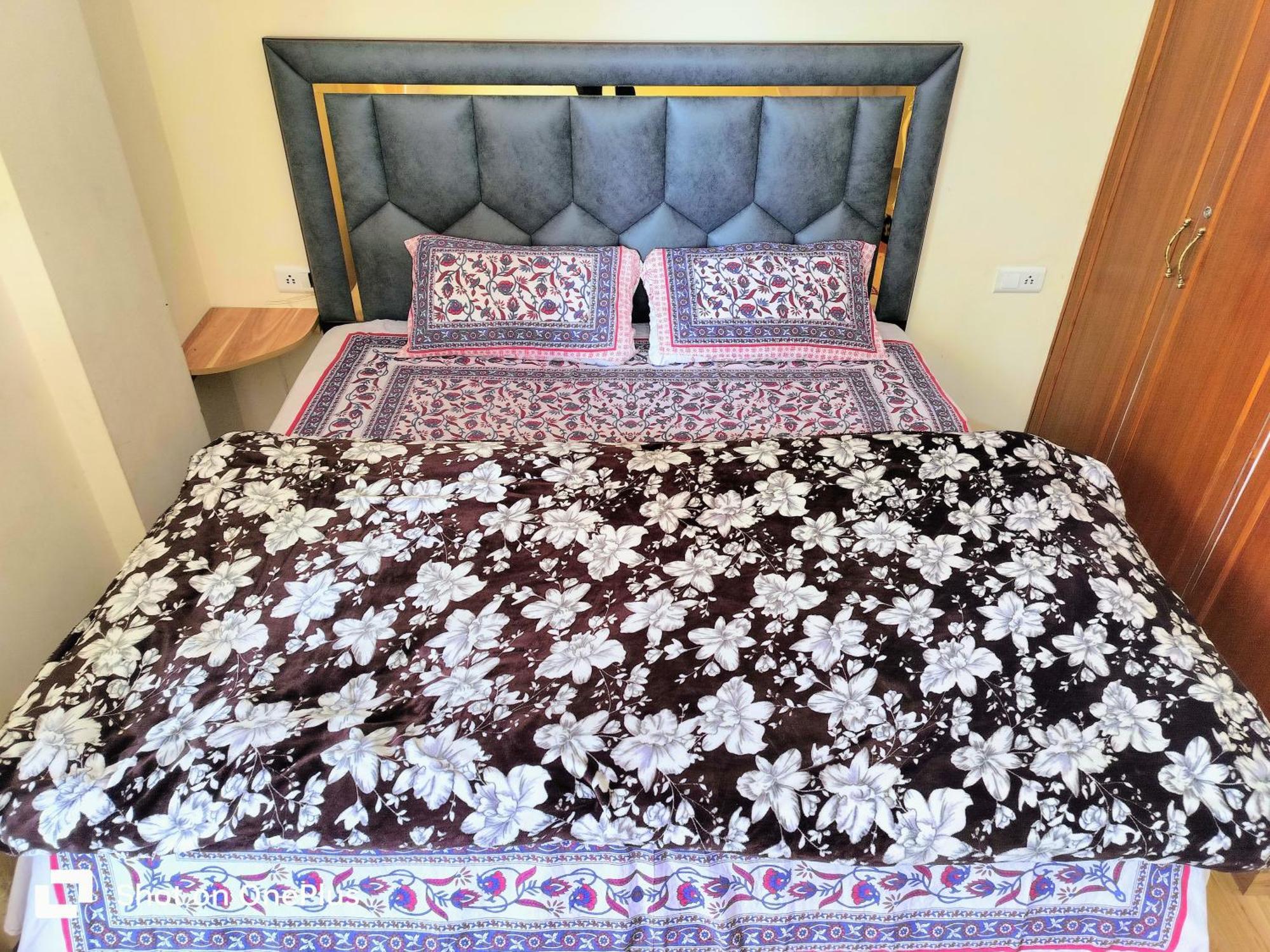 Shimla Vibes B & B Free Pick And Drop From Isbt シムラー エクステリア 写真