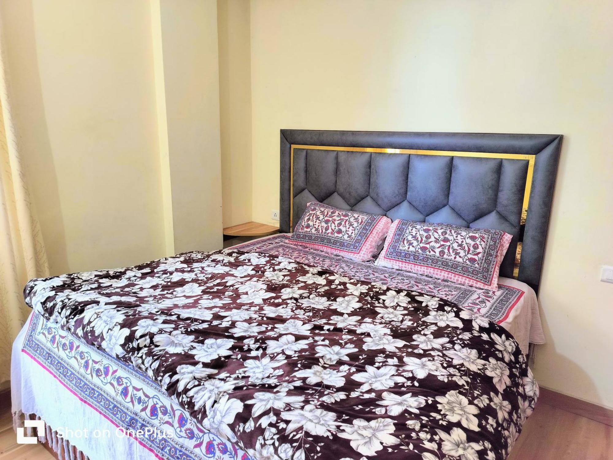 Shimla Vibes B & B Free Pick And Drop From Isbt シムラー エクステリア 写真